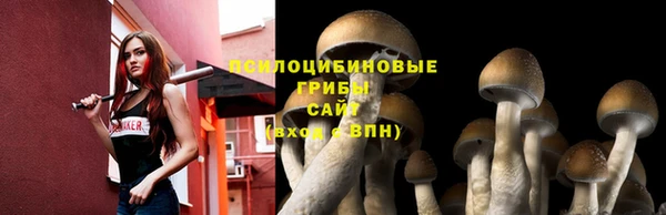 трава Навашино