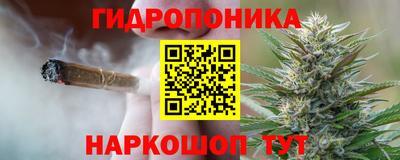 ГАЛЛЮЦИНОГЕННЫЕ ГРИБЫ Гагарин