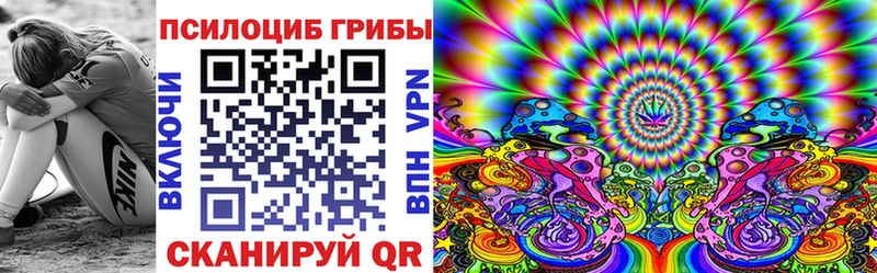 цена Сыктывкар Псилоцибиновые грибы Psilocybe
