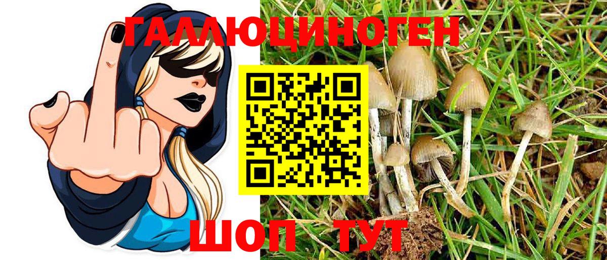Псилоцибиновые грибы Psilocybe  Вход с VPN  Сыктывкар 