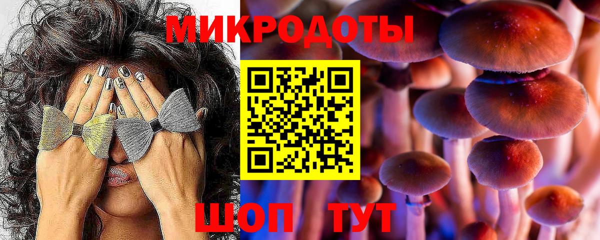 Галлюциногенные грибы прущие грибы Сыктывкар